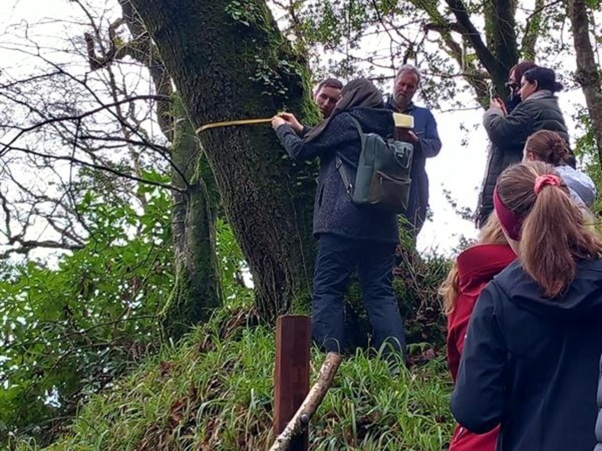 78bb0d6b-5ea7-4af3-b767-ca9c49fce830