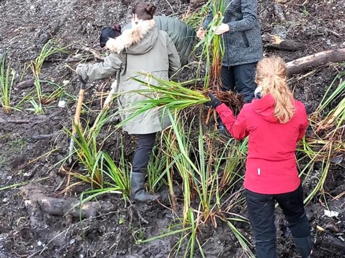 495b4056-abec-4b74-b927-2aed8247fd7d