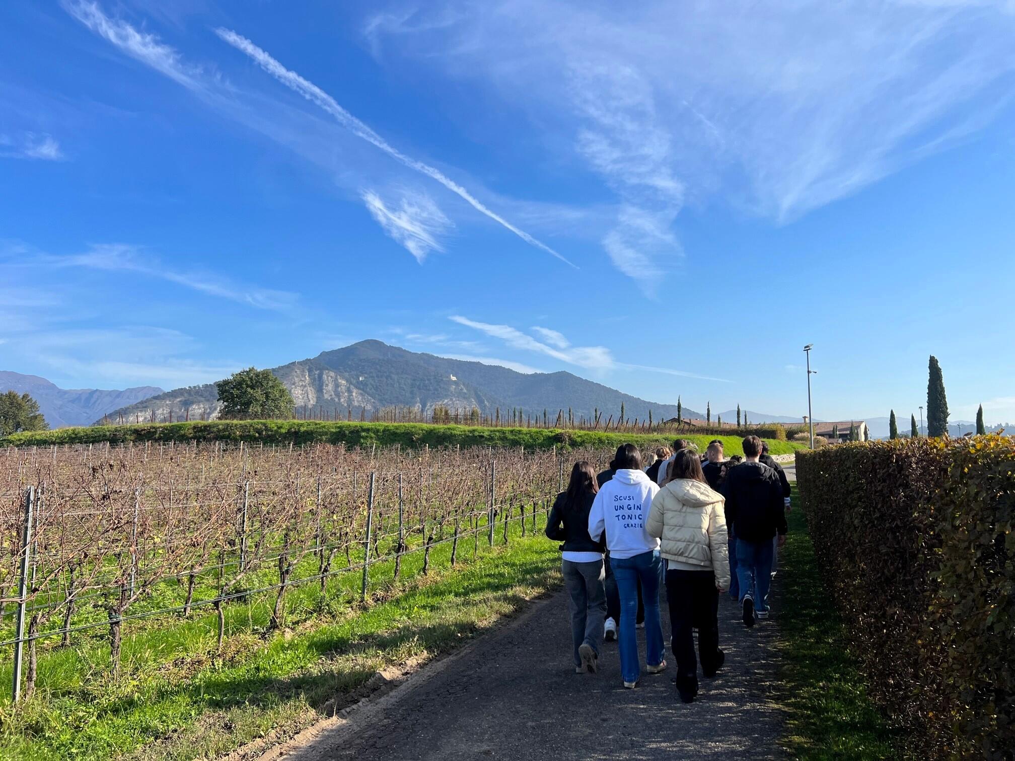 ausflug-in-die-weinberge