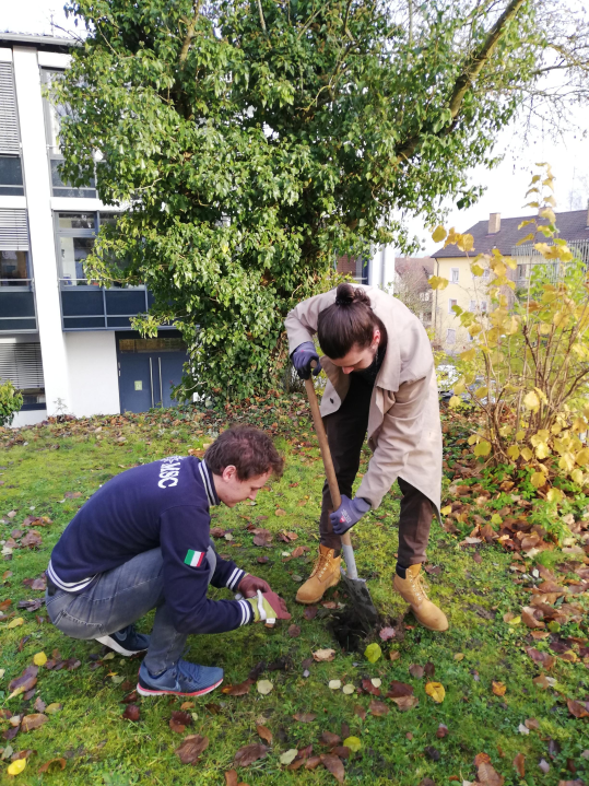 umweltrat-pflanzaktion