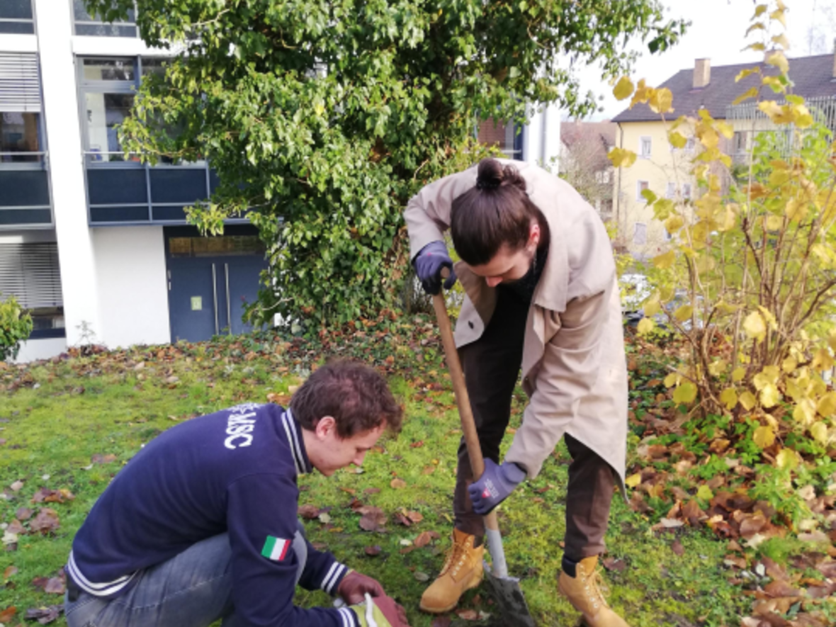 umweltrat-pflanzaktion