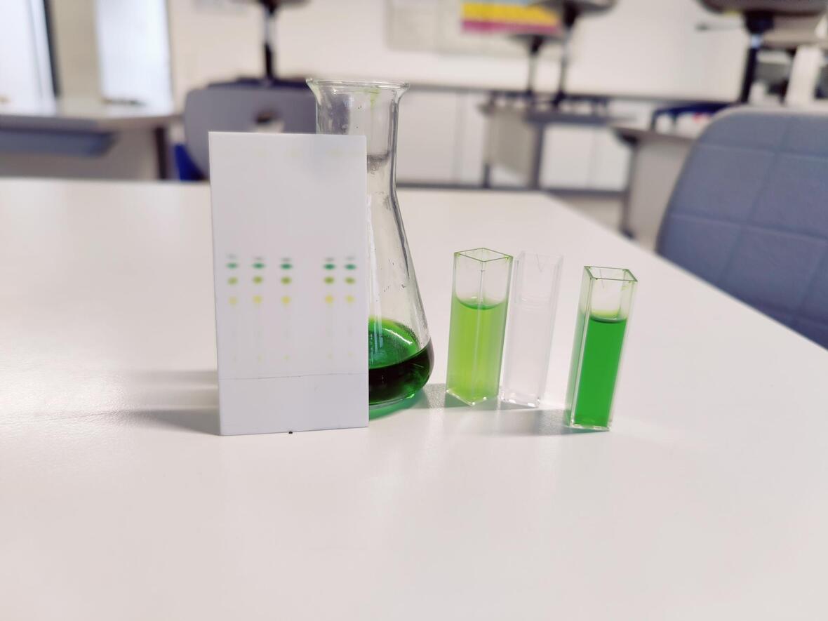 praktikum-bio-chemie-2