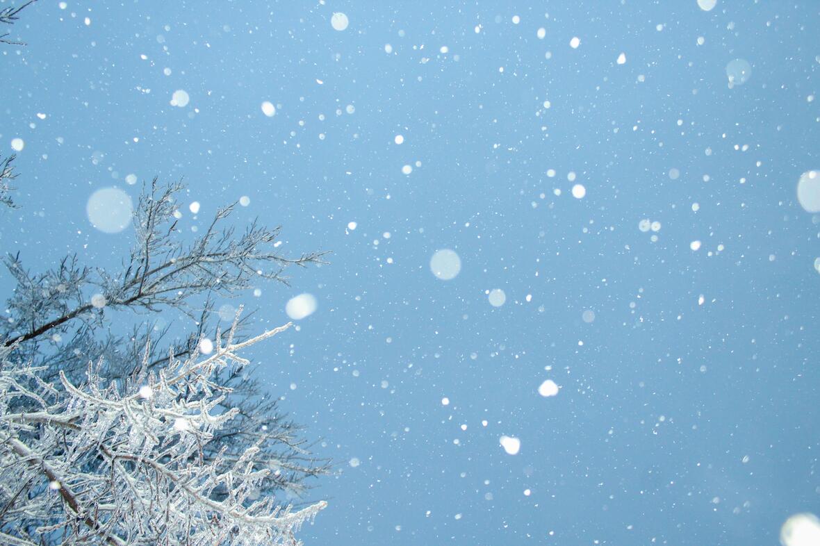 weihnachten-23-chandler-cruttenden-w8hwtfpgtpy-unsplash
