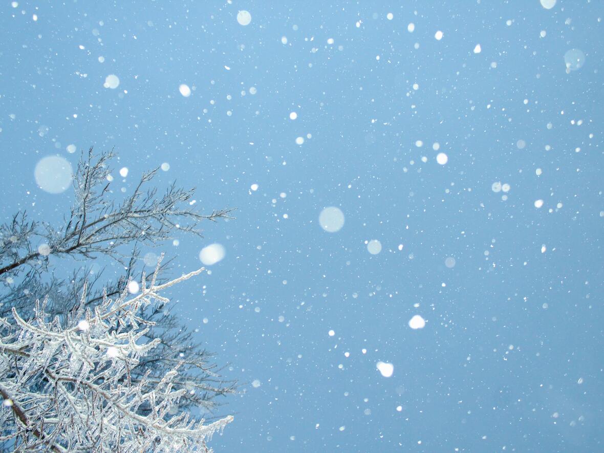 weihnachten-23-chandler-cruttenden-w8hwtfpgtpy-unsplash