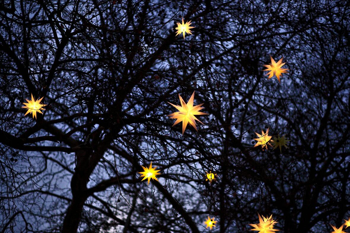 weihnachten-2024-filip-bunkens-unsplash-kopie